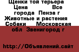 Щенки той терьера › Цена ­ 10 000 - Все города, Пенза г. Животные и растения » Собаки   . Московская обл.,Звенигород г.